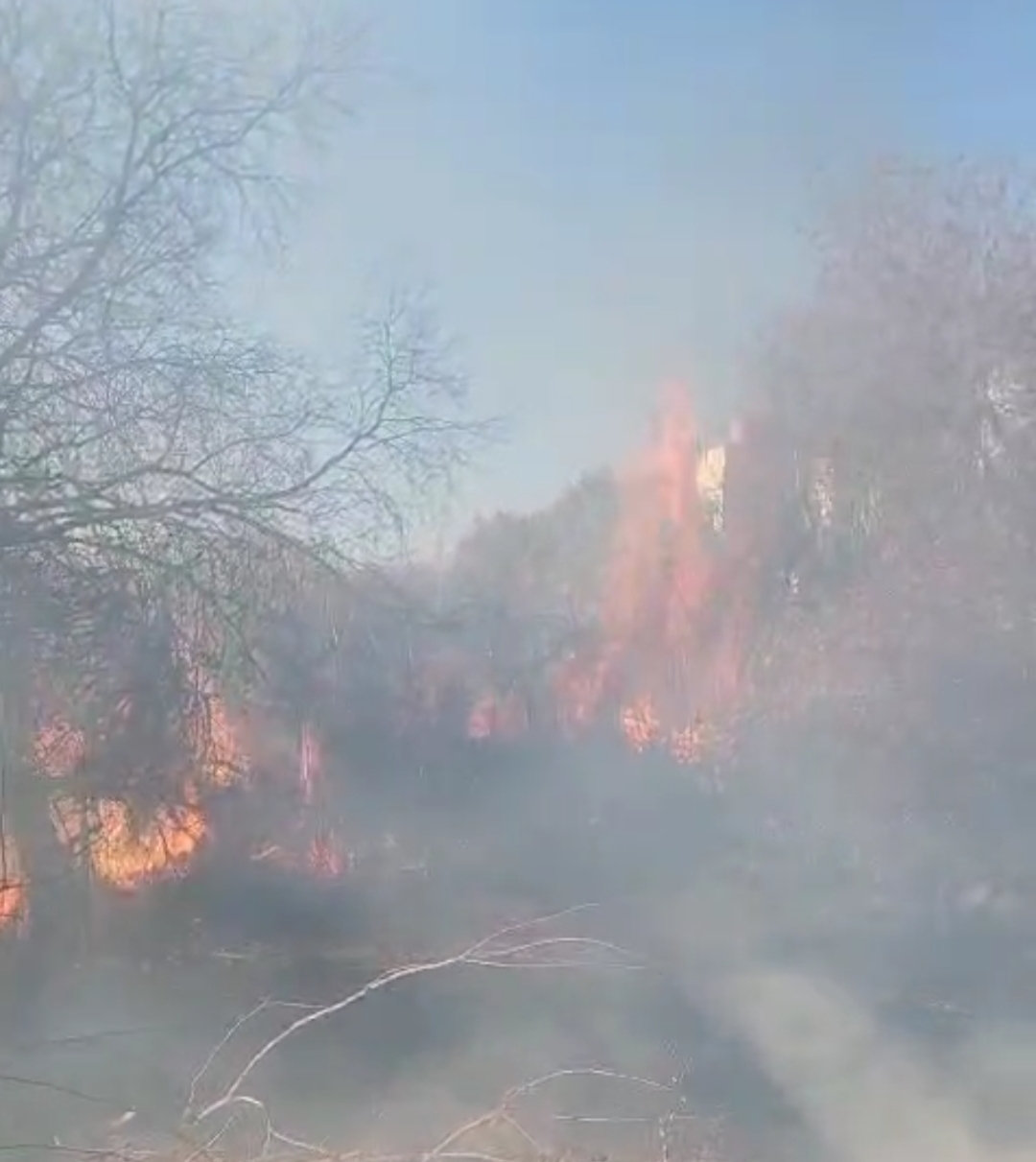 حريق بأحد أحياء مدينة المنزل والسلطات المحلية تتدخل لإخماده