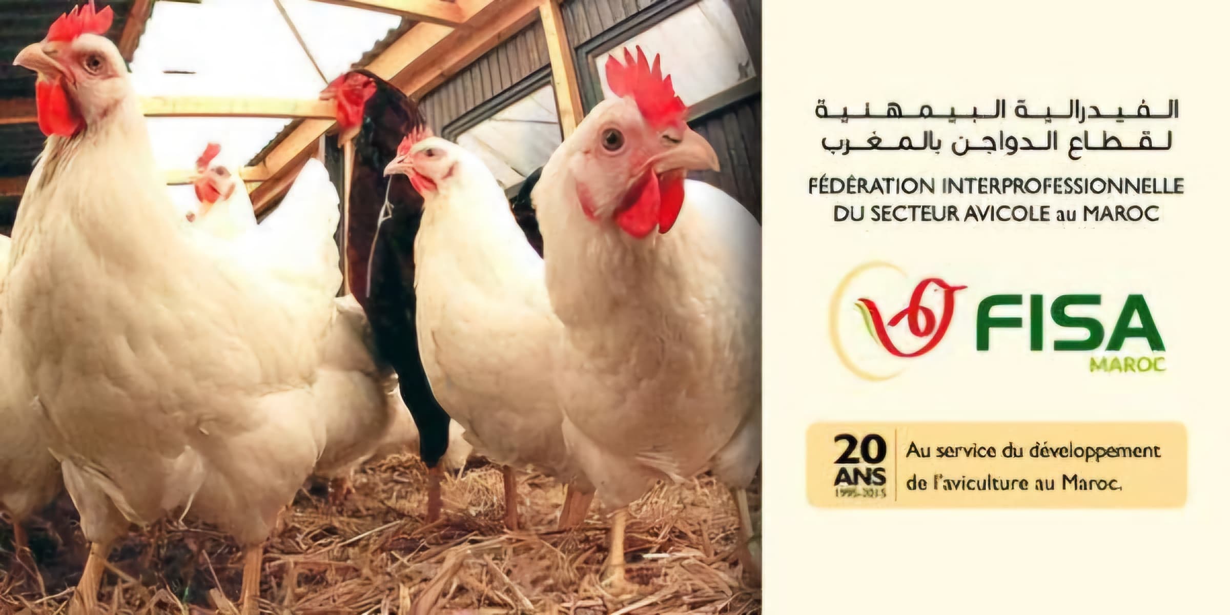 بلاغ الفيدرالية البيمهنية لقطاع الدواجن