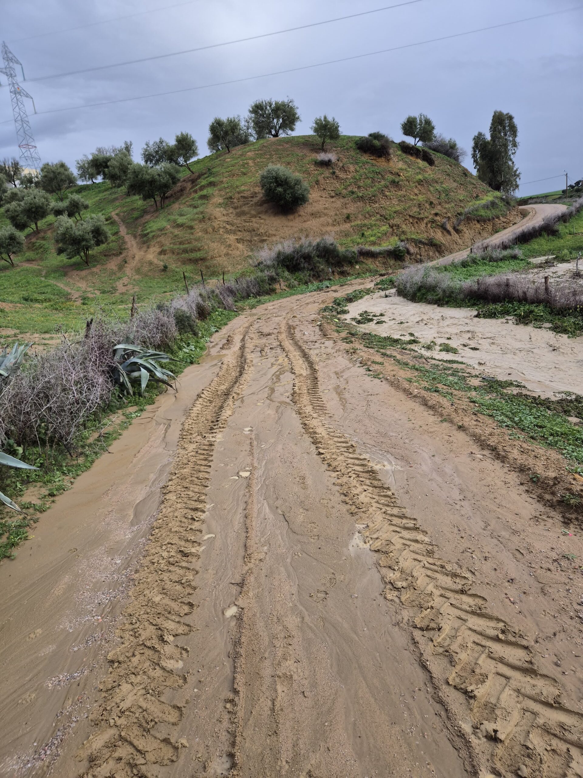 ساكنة دوار آيت سعيد وبلحسن بجماعة بئر طم طم تستغيث بسبب العزلة والتهميش