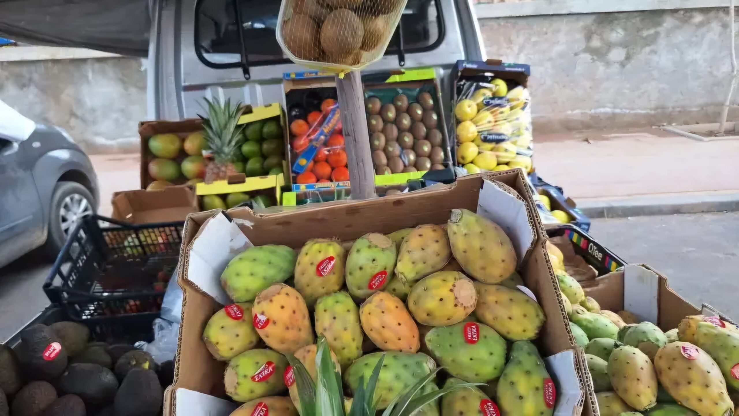 بثمن خيالي بلغ 15 درهما للحبة الواحدة.. “الكرموس الهندي” فاكهة الفقراء لمن استطاع إليها سبيلا